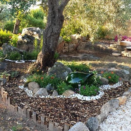 Casa Vacanze Olbia - Alebea - Bagian luar foto