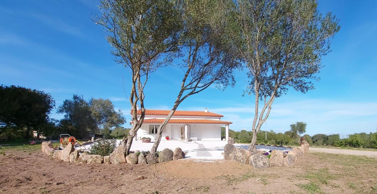 Casa Vacanze Olbia - Alebea - Bagian luar foto