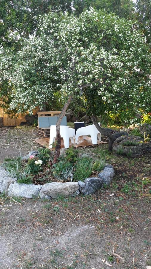 Casa Vacanze Olbia - Alebea - Bagian luar foto