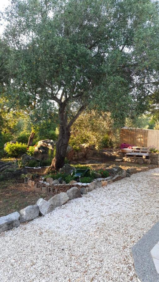 Casa Vacanze Olbia - Alebea - Bagian luar foto