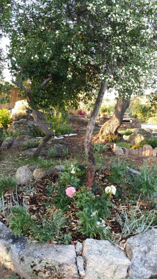Casa Vacanze Olbia - Alebea - Bagian luar foto