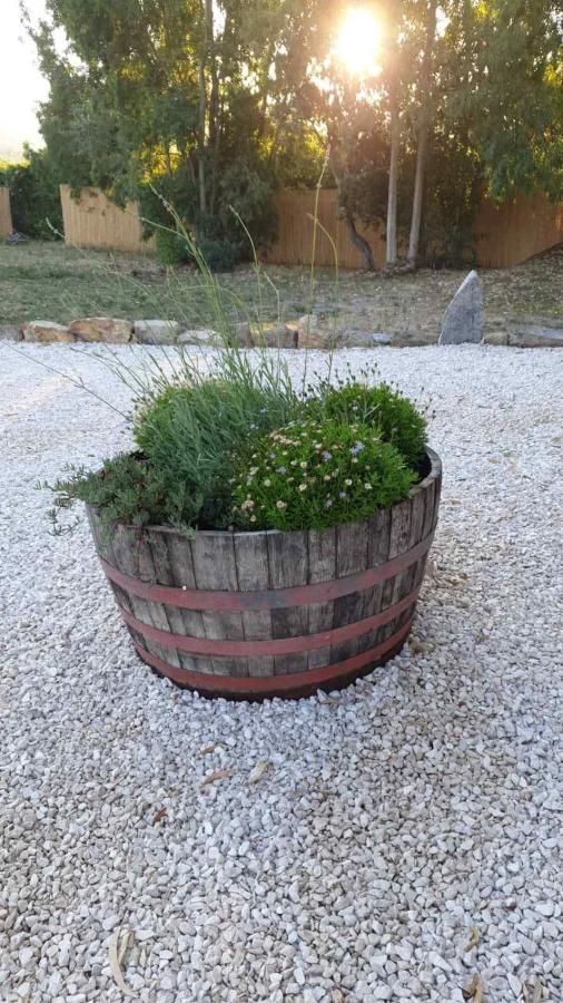 Casa Vacanze Olbia - Alebea - Bagian luar foto